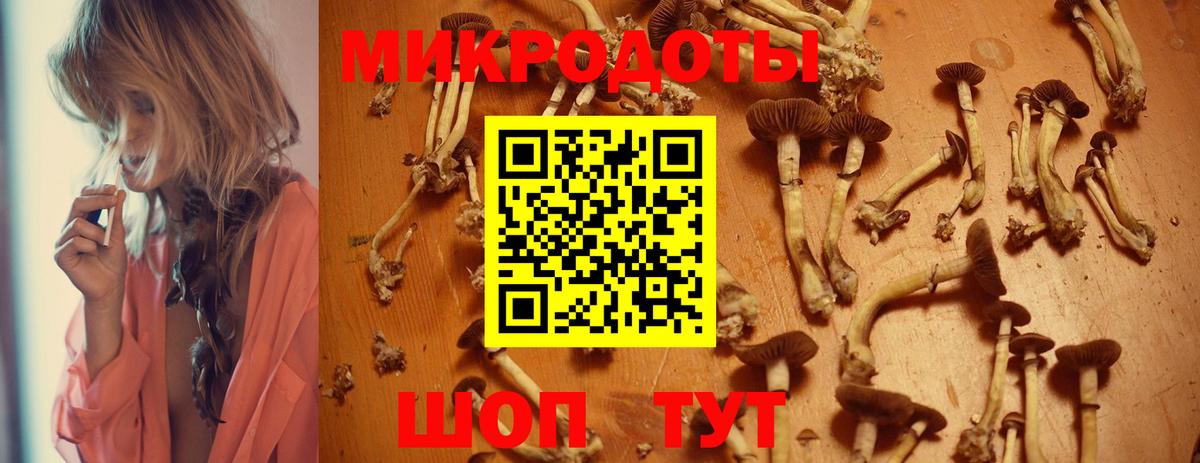 Аша  Псилоцибиновые грибы MAGIC MUSHROOMS  Вход с VPN  Псилоцибиновые грибы Magic Shrooms 